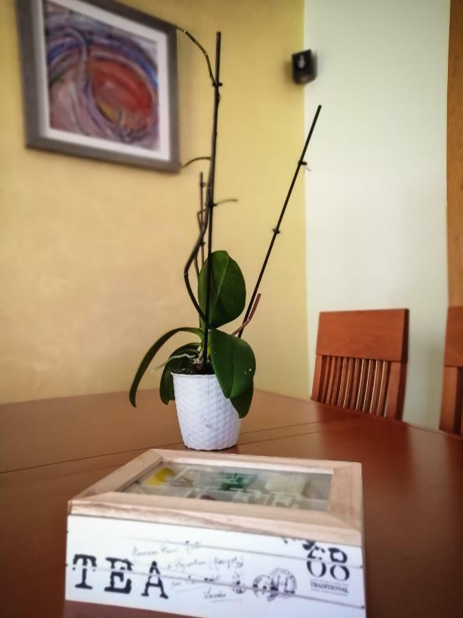 Apartment Amai Budva